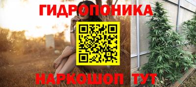 стафф Свободный